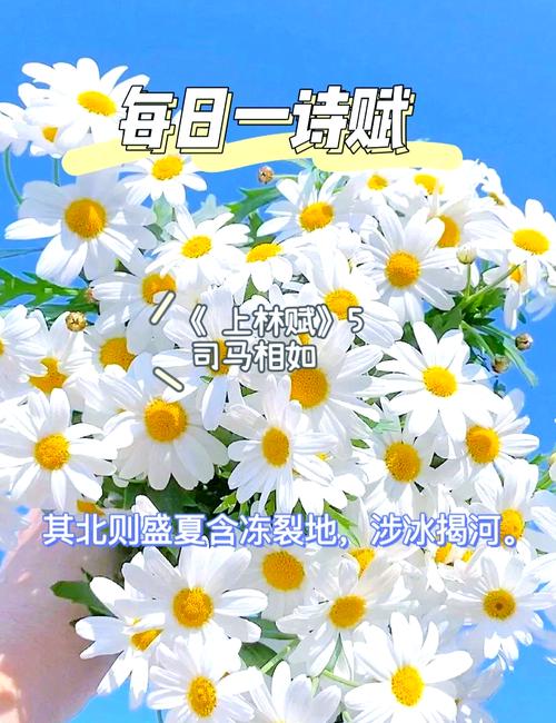 网络热梗上林赋是什么？用它来考验真爱靠谱吗？