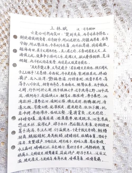 网络热梗上林赋是什么？用它来考验真爱靠谱吗？