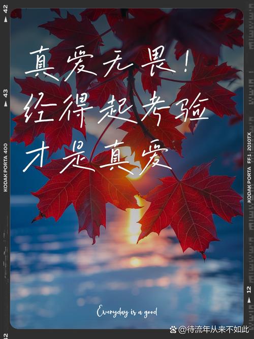 网络热梗上林赋是什么？用它来考验真爱靠谱吗？
