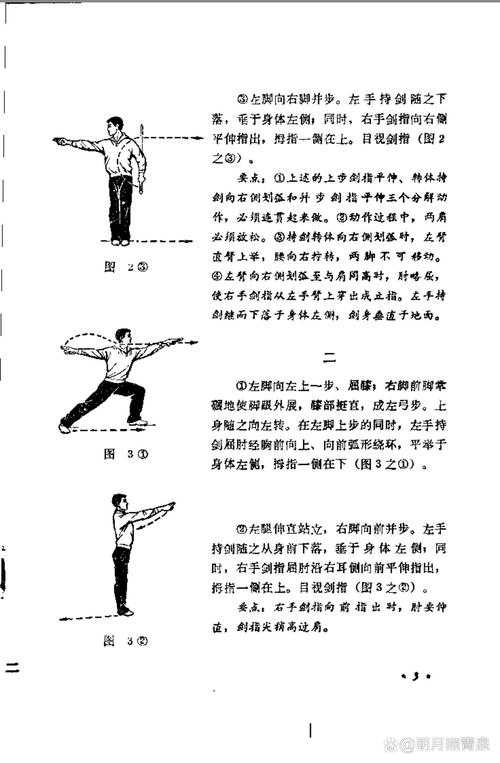 高效藏剑输出手法：掌握核心技能连招