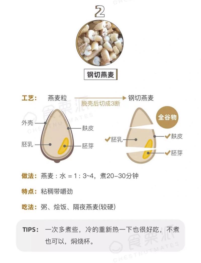 燕麦奶成分是什么？营养价值高吗？深度解析燕麦奶的构成