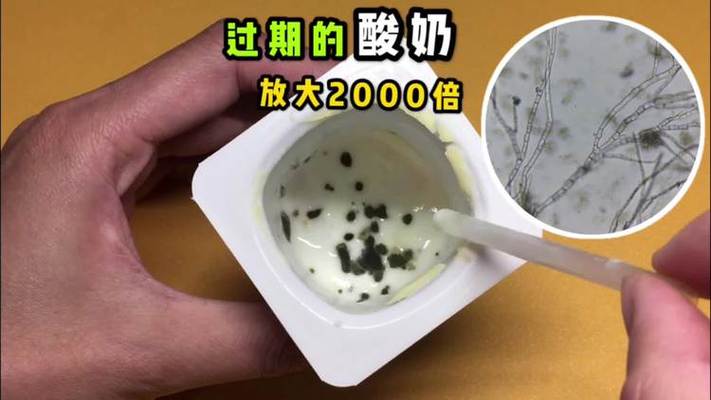 酸奶蚂蚁庄园今日答案：过期酸奶还能喝吗？