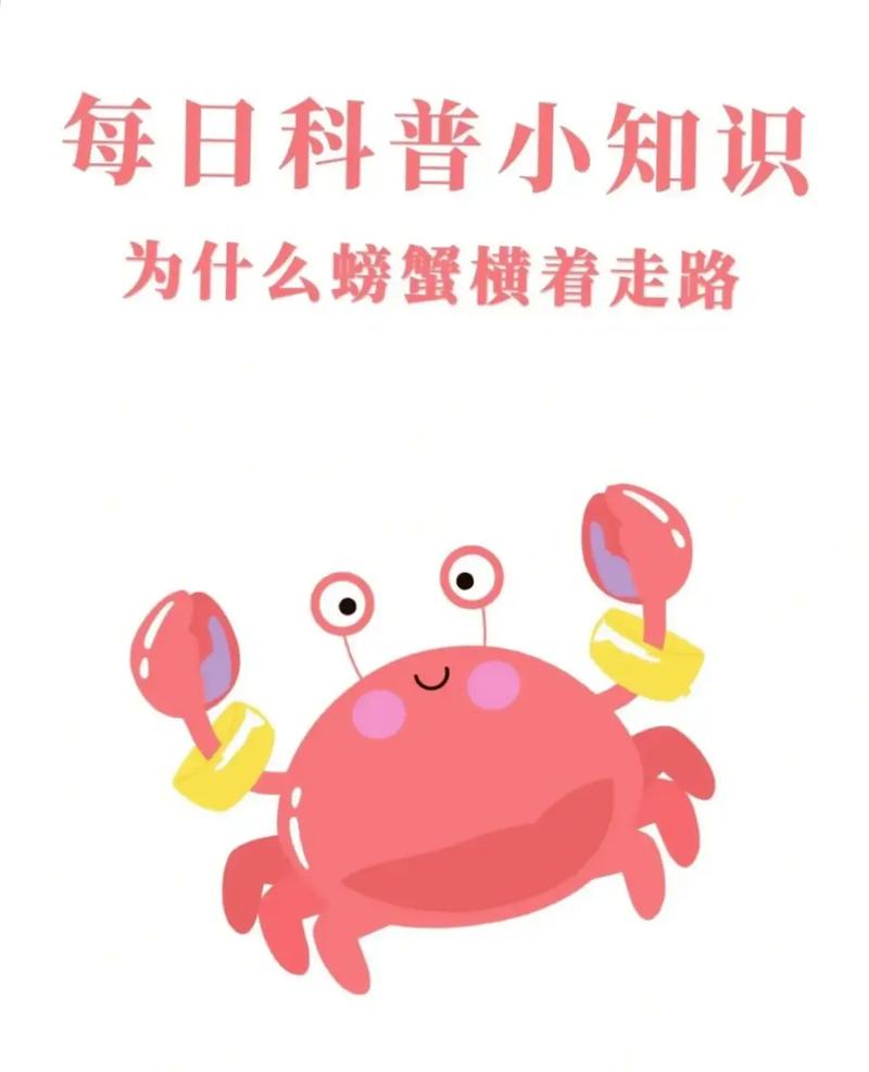 扇子蚂蚁庄园小游戏：趣味答题赢取奖励，涨知识！