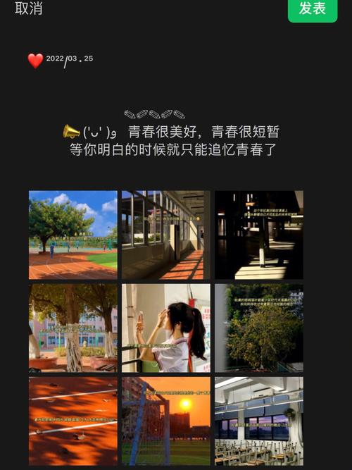 阳光的夏天：追忆经典，重温杨光的夏日传奇