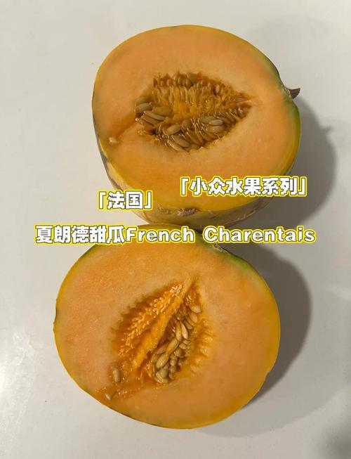 Melon是什么意思？甜瓜？还是其他含义？