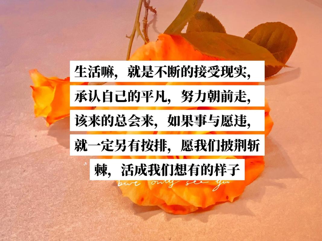 我就是这样，平凡而独特，用自己的方式闪耀