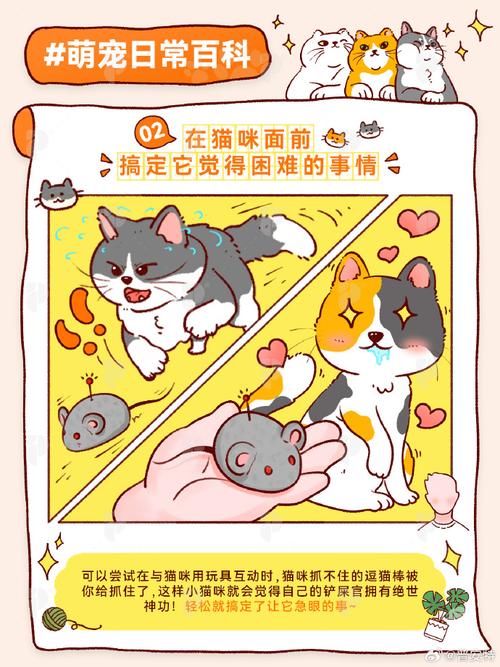2024天猫双11捉猫猫活动玩法详解，快来抓猫猫！
