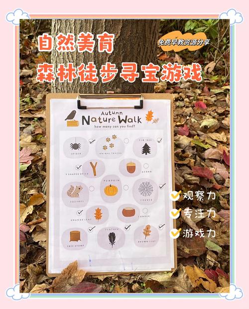 秋日森林探索：如何找到隐藏宝箱并生存下来