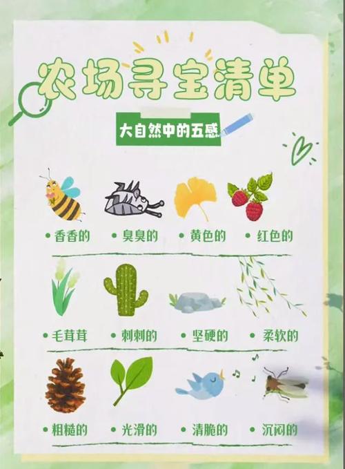 秋日森林探索：如何找到隐藏宝箱并生存下来
