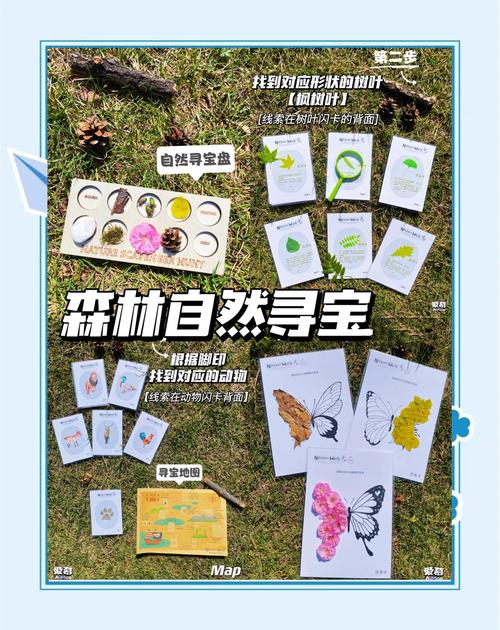 秋日森林探索：如何找到隐藏宝箱并生存下来