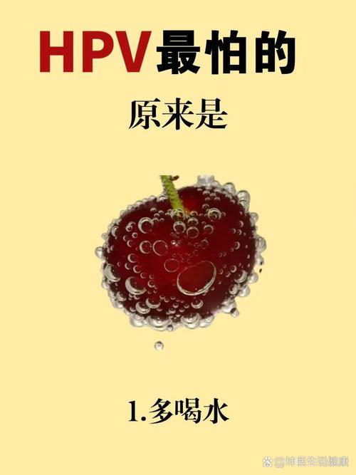 网络热词LSP是什么梗？教你快速了解LSP含义