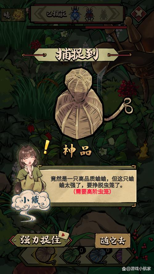 蛐蛐也疯狂：带你走进神奇的蛐蛐世界