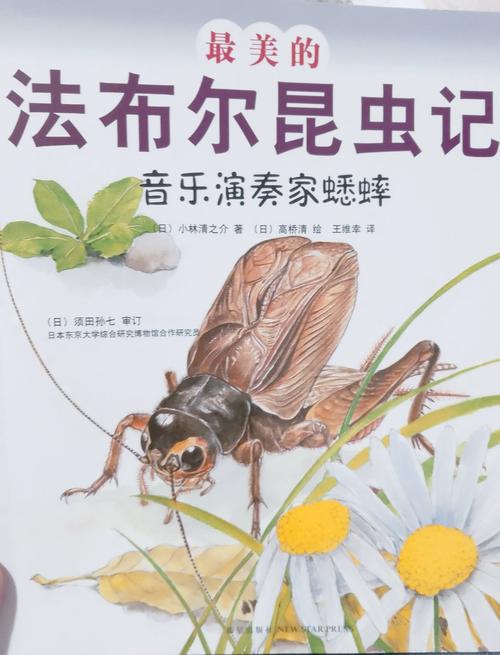 蛐蛐也疯狂：带你走进神奇的蛐蛐世界
