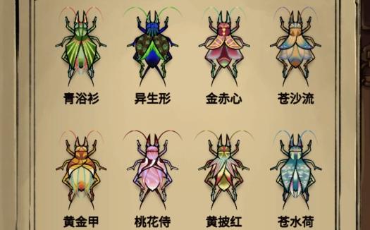 蛐蛐也疯狂：带你走进神奇的蛐蛐世界