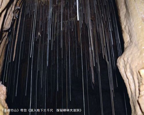 深入探秘萨隆矿坑：稀有物品掉落率及获取方法