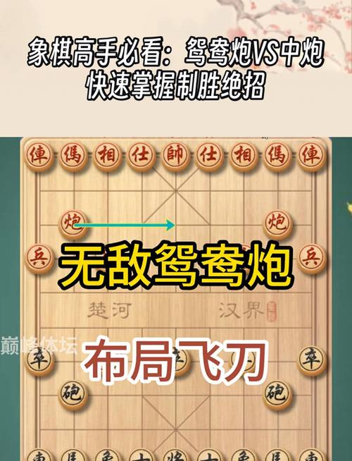 百战百胜二八杠技巧：高手经验分享，助你制胜！