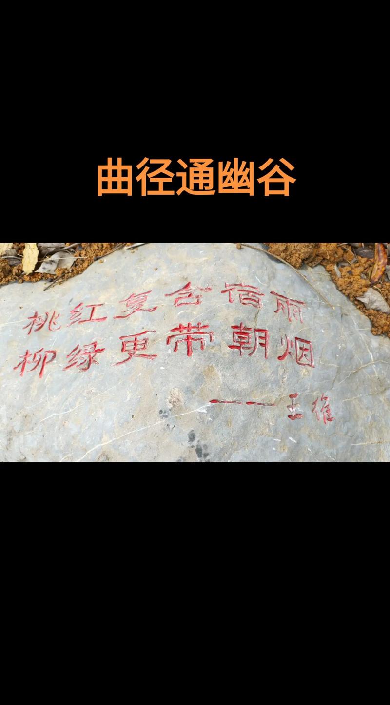 曲径通幽处：感受诗句里的幽静和禅意之美