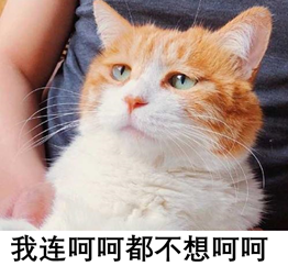 大文豪呵呵背后的故事：你绝对想不到