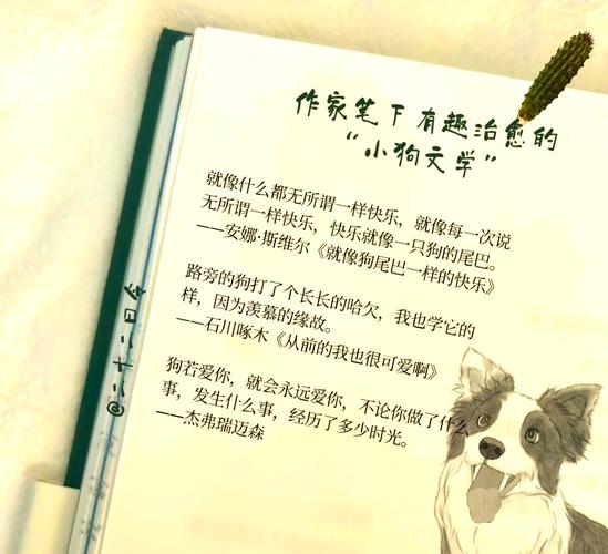 我是你的狗：忠诚的爱，卑微的守护