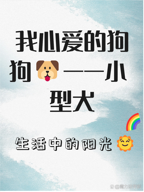 我是你的狗：忠诚的爱，卑微的守护