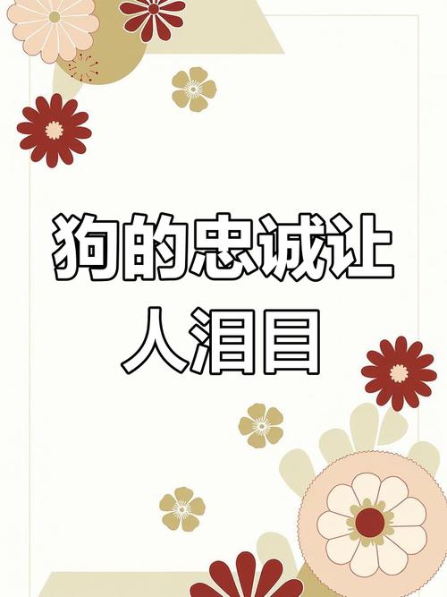 我是你的狗：忠诚的爱，卑微的守护