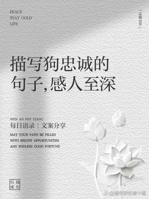 我是你的狗：忠诚的爱，卑微的守护