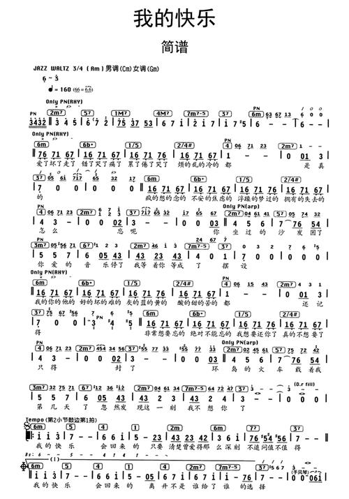 我的快乐歌词含义：解读歌曲背后的故事