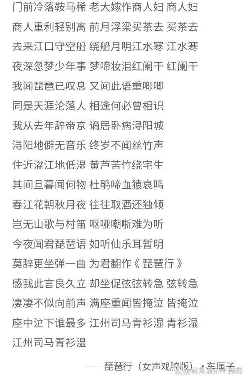 琵琶副本歌词大全：热门歌曲及完整版
