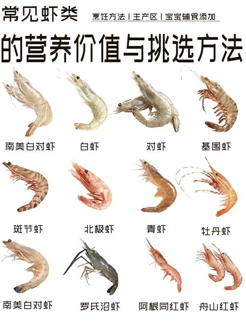 你知道基围虾名字是怎么来的吗？答案就在它的养殖方法里！