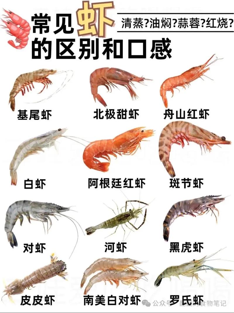 你知道基围虾名字是怎么来的吗？答案就在它的养殖方法里！