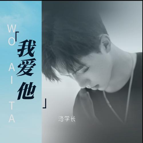 我爱他歌词是什么？深度解析歌曲背后的情感