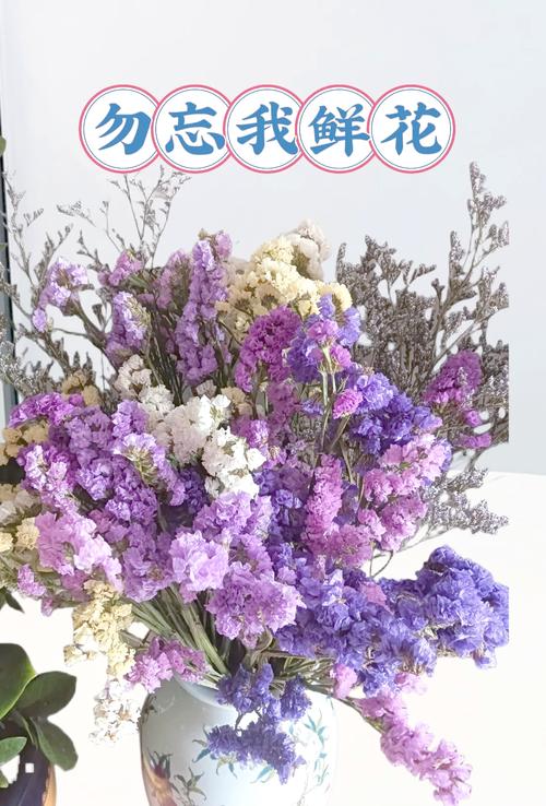勿忘我存档下载及使用方法：新手玩家必看教程