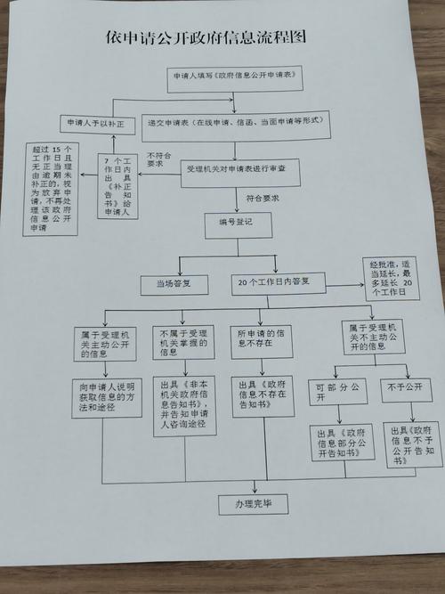 影像大厅副本任务：详细步骤与战斗技巧分享