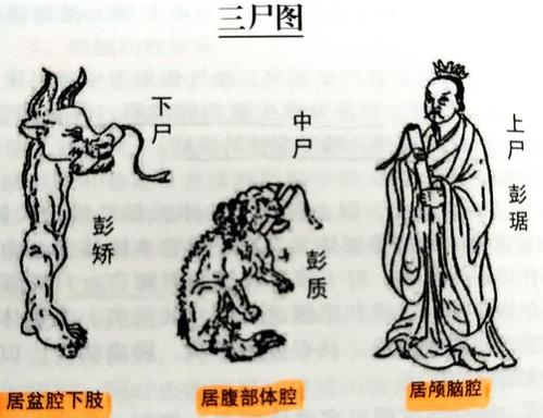 三尸脑神丹：笑傲江湖中最令人闻风丧胆的毒药