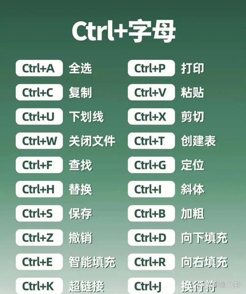 恶霸鲁尼操作指南：新手必看按键技巧详解