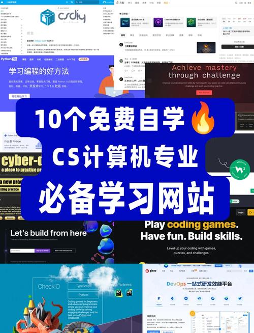 大鱼CMS教程：零基础快速上手，轻松创建个人网站