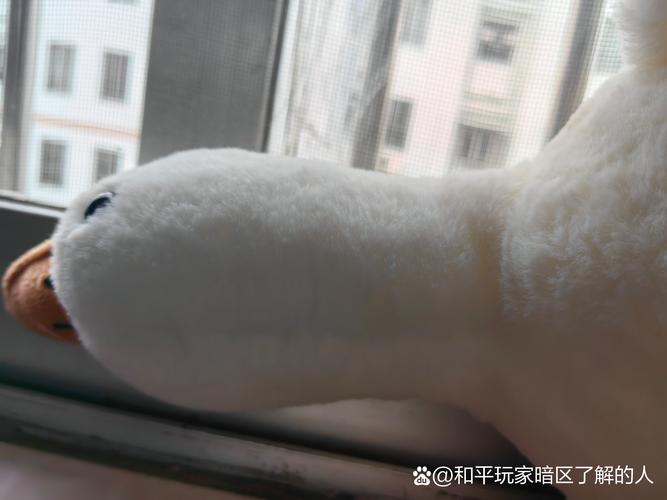 想知道你家大鹅的祖先？答案或许会让你惊讶