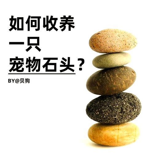 旅人护石选择纠结？教你轻松挑选最佳护石组合！