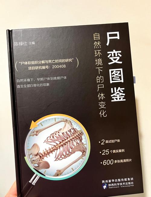 尸变重生秘籍：全面解析，让你成为生存大师