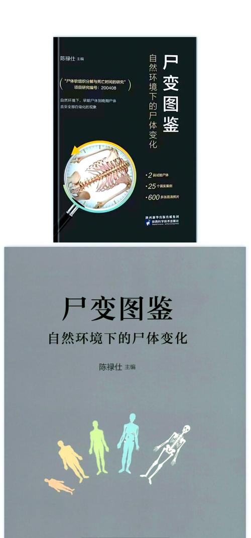 尸变重生秘籍：全面解析，让你成为生存大师