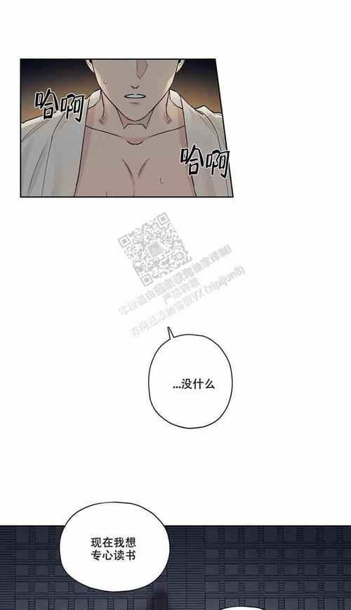 啵乐腐味满满：简单易懂的游戏规则，适合所有人！