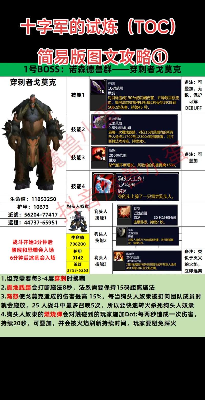 十字军加点攻略：新手必看实用技巧，轻松提升战斗力