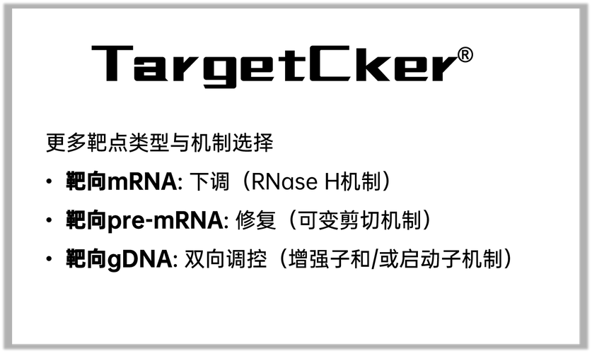 XNA4.0开发环境搭建详解：VS2010配置与XNA4.0安装