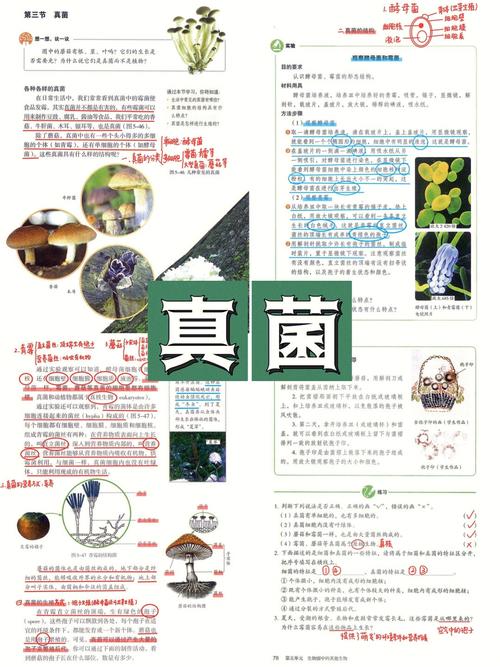 真菌世界秘籍使用方法：玩转游戏秘诀