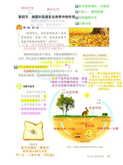 真菌世界秘籍使用方法：玩转游戏秘诀