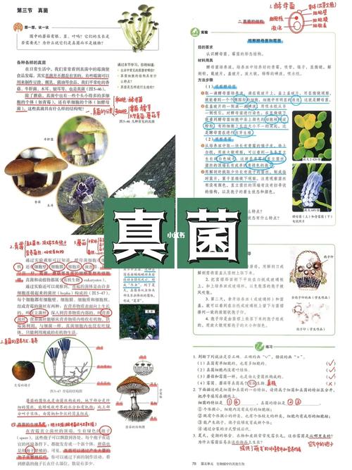 真菌世界秘籍使用方法：玩转游戏秘诀