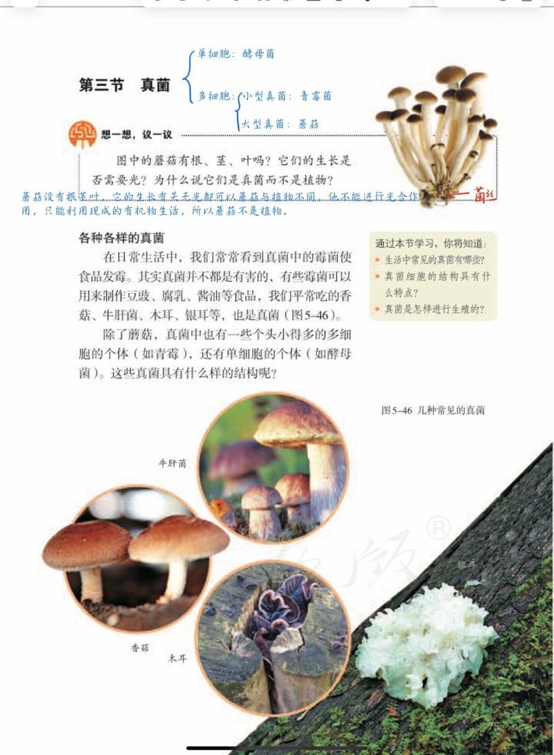 真菌世界秘籍使用方法：玩转游戏秘诀