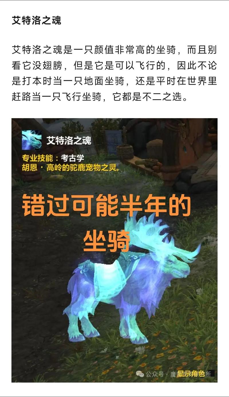 WOW艾特洛之魂：半年度坐骑，速来领取！