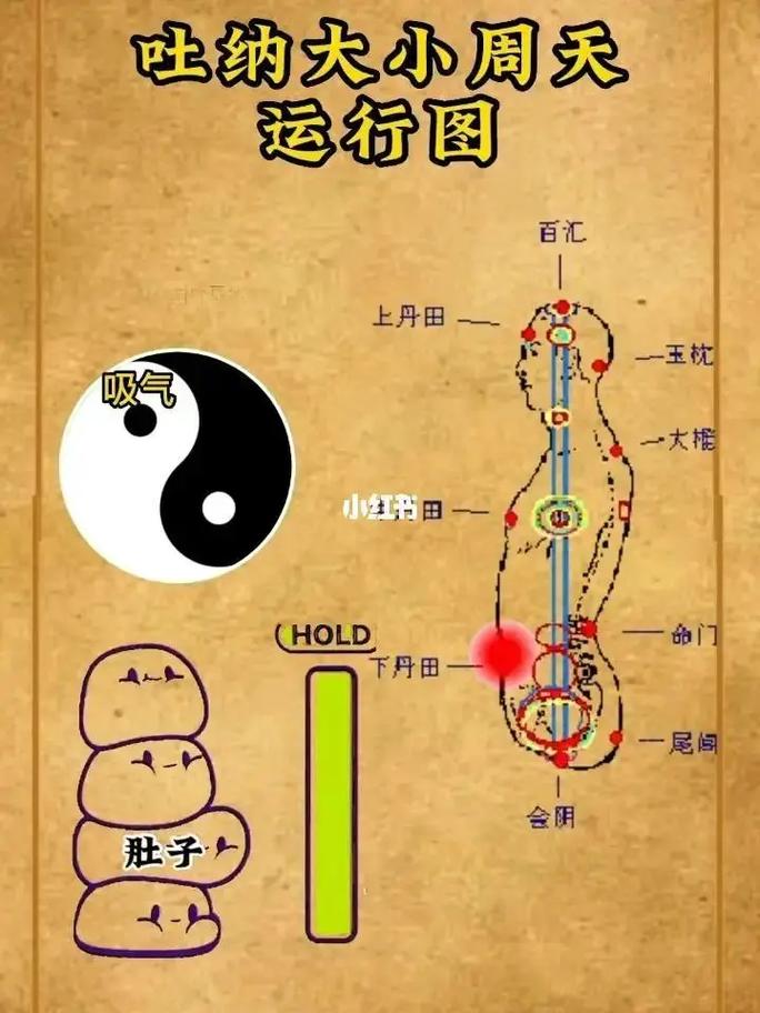 如何快速升级内丹？内丹升级技巧及经验分享