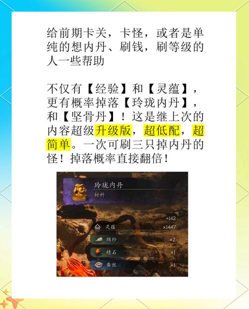 如何快速升级内丹？内丹升级技巧及经验分享